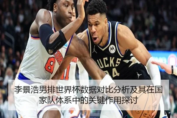 李景浩男排世界杯数据对比分析及其在国家队体系中的关键作用探讨
