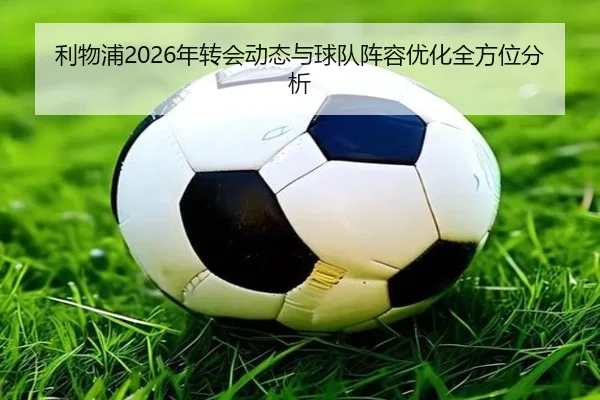 利物浦2026年转会动态与球队阵容优化全方位分析